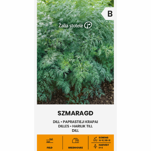 Dill - Szmaragd