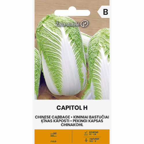 Kinakål - Capitol H