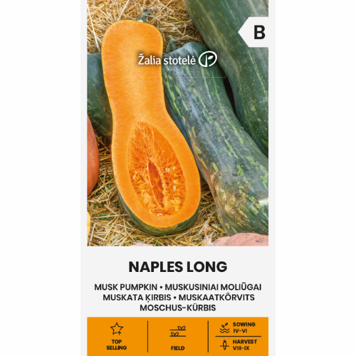 Musk Pumpa - Naples Long