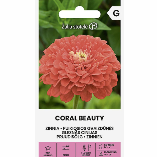 Zinnia - Coral Beauty
