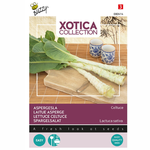 Stam­sallat – Celtuce