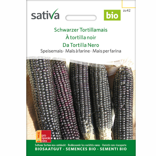 Ekologisk Majs – Black Tortilla Maize