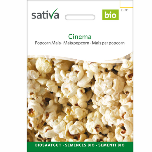 Ekologisk Popcornmajs – Bio
