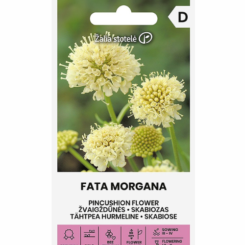 Nålkuddeblomma – Fata Morgana