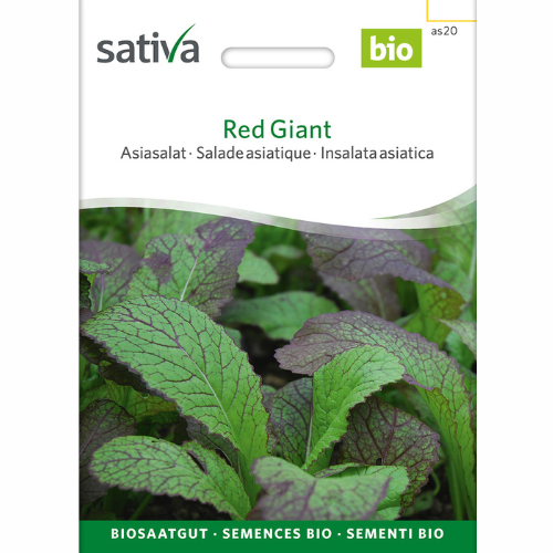 Asiatisk grönkål – Red Giant