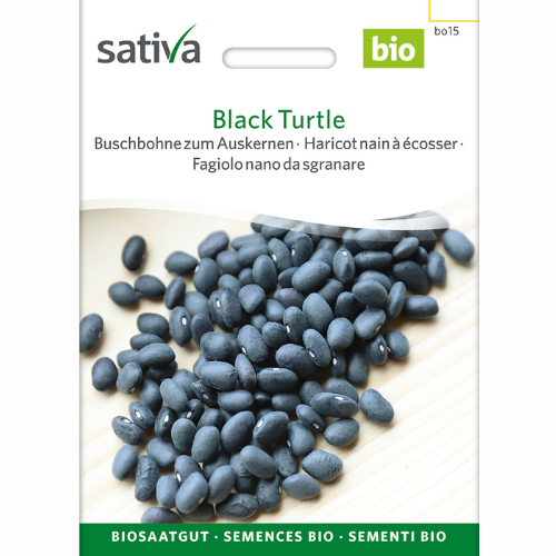 Buskböna – Svart sköldpadda
