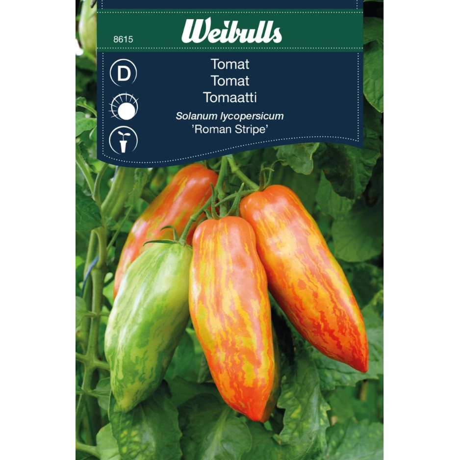 Tomat – romersk randig