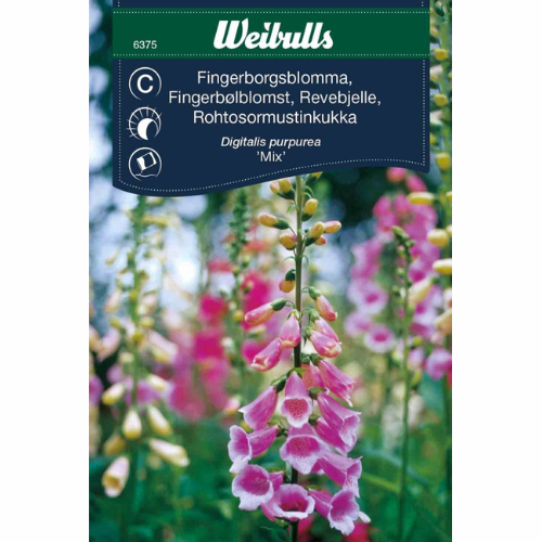Fingerborgsblomma – Blandning