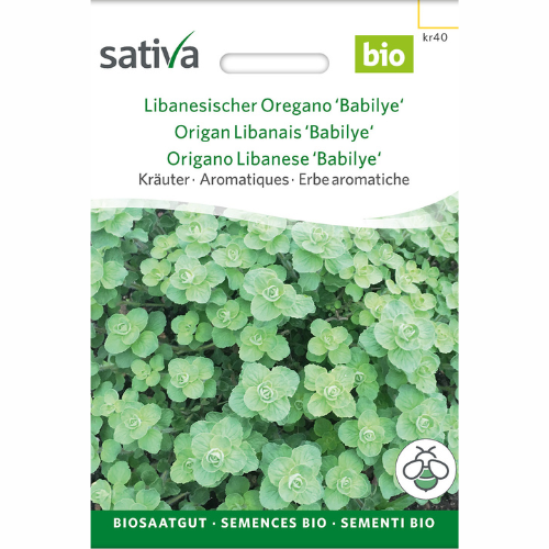 Libanesisk oregano - Babylye