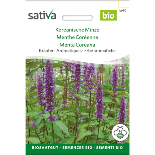 Koreansk mynta – Agastache rugosa – 100 frön