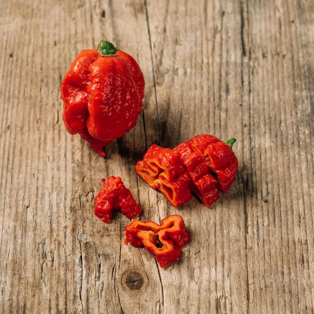 Chilifrön -  världens hetaste chilipeppar - Carolina Reaper