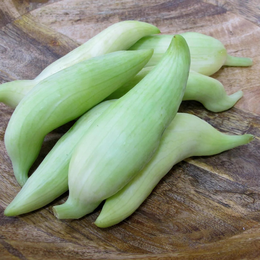 Inkagurka - Caigua - Slipper Gourd