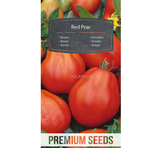 Tomat - Red Pear - 50 frön